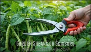 garden shears or scissors