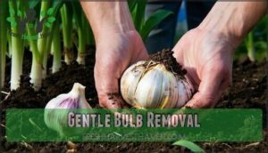 gentle bulb removal