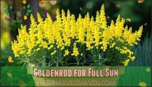 goldenrod for full sun