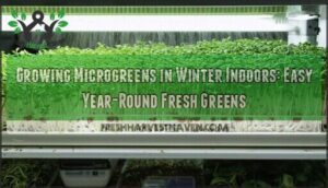 growing microgreens in winter indoors