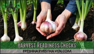 harvest readiness checks