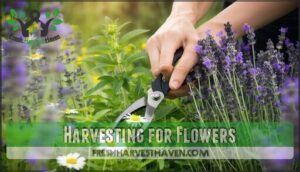 harvesting for flowers