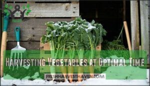 harvesting vegetables at optimal time