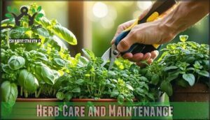 herb care and maintenance
