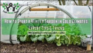 how to start a winter garden in cold climates