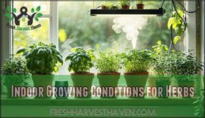 indoor growing conditions for herbs
