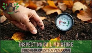 inspecting soil moisture