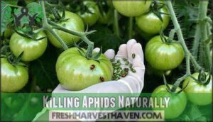 killing aphids naturally