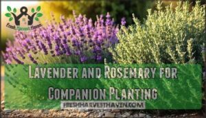 lavender and rosemary for companion planting