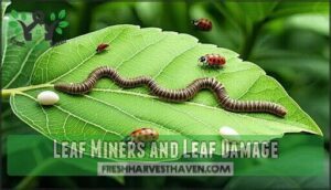 leaf miners and leaf damage