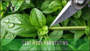 leaf node harvesting