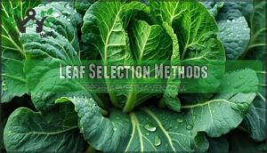 leaf selection methods