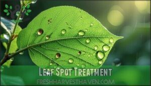 leaf spot treatment
