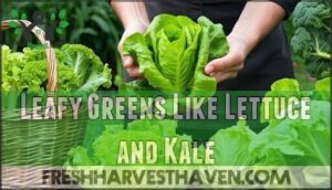 leafy greens like lettuce and kale