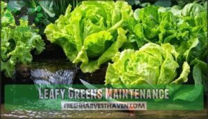 leafy greens maintenance