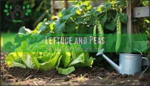 lettuce and peas