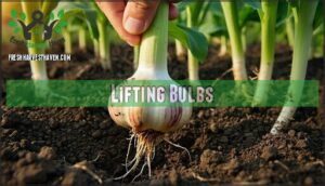 lifting bulbs