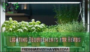 lighting requirements for herbs