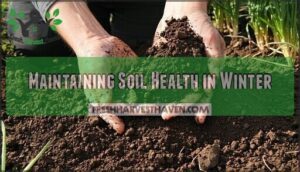 maintaining soil health in winter