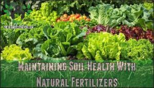 maintaining soil health with natural fertilizers