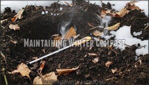 maintaining winter compost