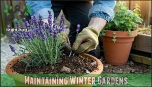 maintaining winter gardens