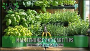 maintenance and care tips