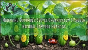 managing cucumber beetle organically