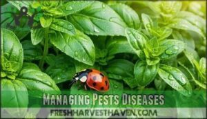 managing pests diseases