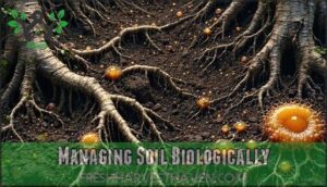 managing soil biologically