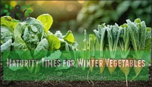 maturity times for winter vegetables