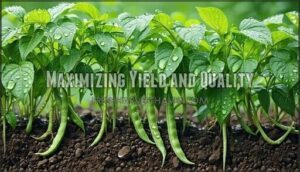 maximizing yield and quality