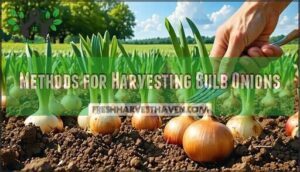 methods for harvesting bulb onions