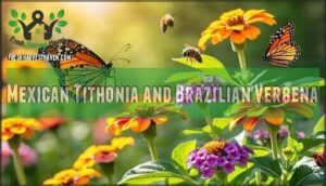 mexican tithonia and brazilian verbena