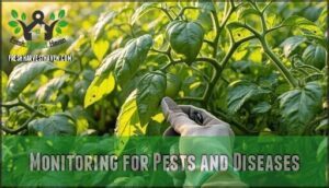 monitoring for pests and diseases