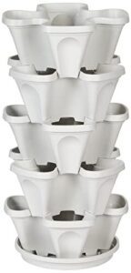 Mr. Stacky 5 Tier Stackable B007TFTW3U
