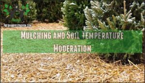 mulching and soil temperature moderation