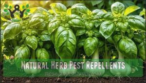 natural herb pest repellents