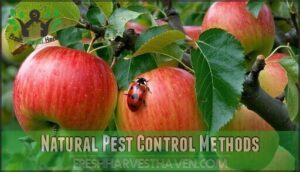 natural pest control methods