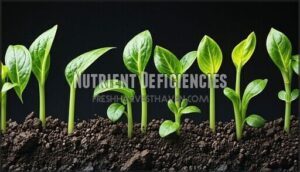nutrient deficiencies