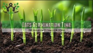 oats germination time