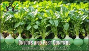 onions and pest control