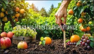 organic matter importance