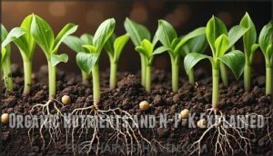 organic nutrients and n-p-k explained
