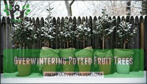 overwintering potted fruit trees