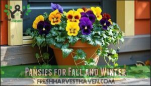 pansies for fall and winter
