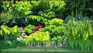 partial sun plants