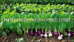 pepper and onion companion planting