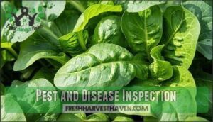 pest and disease inspection