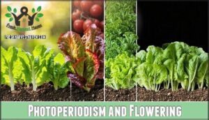 photoperiodism and flowering